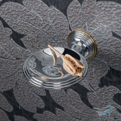 Мыльница COLOMBO DESIGN HERMITAGE B3301 настенная цвет хром